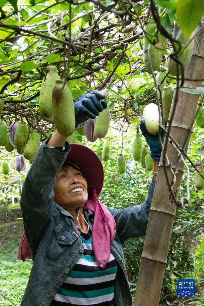 马尼拉盈城集团